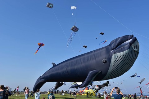 Kite festival, flying kites on Schönberg beach, Schleswig-Holstein, Germany, Europe