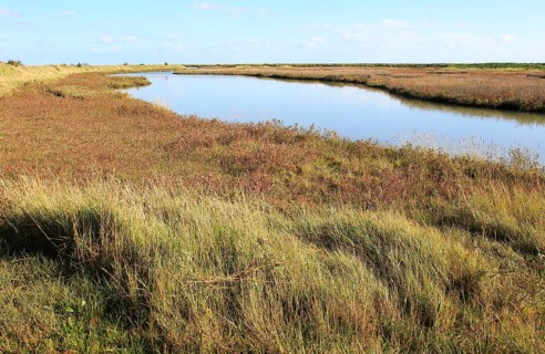 Landscape at high tide Barthorp's Creek, Hollesley Bay, near Shingle Street, Suffolk, England, UK