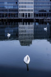 Phönixsee Dortmund, 05.04.2024. Artificially created lake on the former steelworks site of the