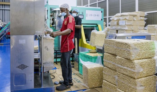 KAJU, cashew factory. Weighing and packing of cashew nut factory near Cotonou in Benin, Glo-Djigbe,