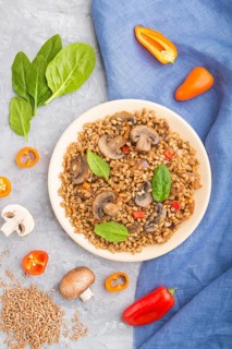 Spelt (dinkel wheat) porridge with vegetables and mushrooms on ceramic plate on a gray concrete