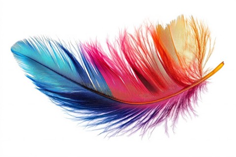 Colorful bird feather isolated on white background. Generative Ai, AI generated