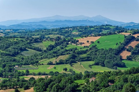 Landscape in the Marche region near San Ginesio and in the background the mountain range of the