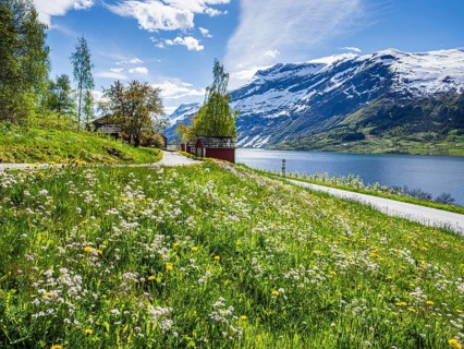View of snow-covered mountains, fjord and apple trees in bloom, spring, Hardangerfjord near