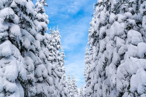 Winter in Sauerland, Hochsauerlandkreis, at Kahler Asten, near Winterberg, few tourists, visitors,