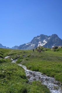 Stream in meadow behind glacier of the Agnieux group, Villar-d'Arêne, Département Hautes-Alpes,