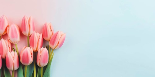 Pink tulips spring flowers on pastel background with copy space. KI generiert, generiert AI