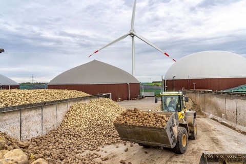 Biogas plant produces gas from various biomass, here the sugar beet storage, the electricity is