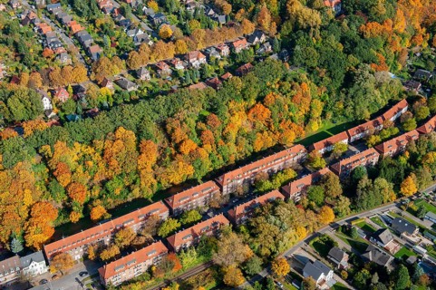 Living, block of flats, old, Geesthang, forest, autumn, autumn forest, Indian summer, Bergedorf,