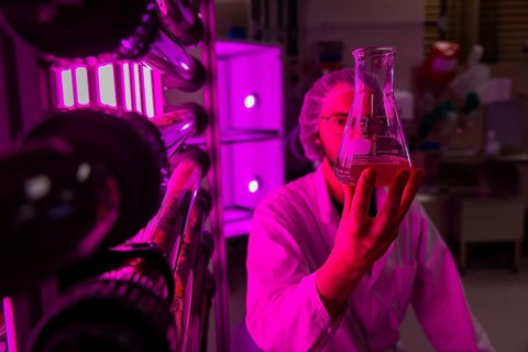 PUEVIT GmbH produces the most efficient photobioreactors for the cultivation of microalgae. The aim