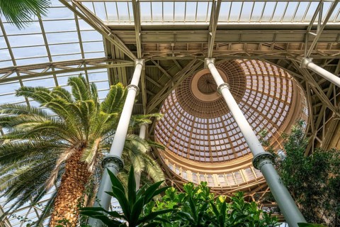 Central hall with dome, palm garden, Ny Carlsberg Glyptotek or New Carlsberg Glyptothek, art museum