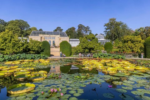 Water lily pond in the Zoological-Botanical Garden, Moorish Garden of the Zoo, Stuttgart,