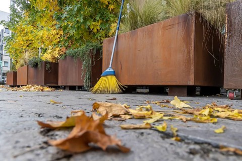 Leaves are falling from the trees. Autumn is the time for brooms to sweep the leaves off the
