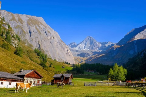 Huteralmen with Großglockner, Hohe Tauern, Ködnitztal, Kals am Großglockner, East Tyrol, Austria,