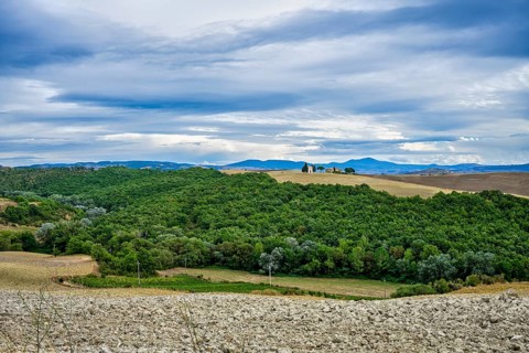 Landscape near San Quirico d'Orcia, Tuscany, Italy, Europe