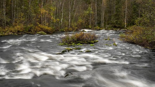 River course in Oulanka National Park, Finland, Europe
