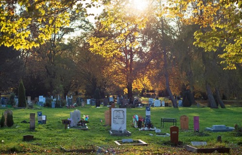 Muslim graves strictly aligned to Mecca, main cemetery, autumn, autumn mood, Stuttgart,