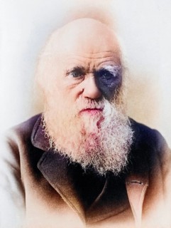 Charles Darwin 1809 1882 English naturalist, Historical, digitally restored reproduction from a