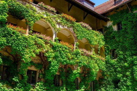 Arcades, town hall, former trading house, Burggasse, Schwaz, Inntal, Tyrol, Austria, Europe