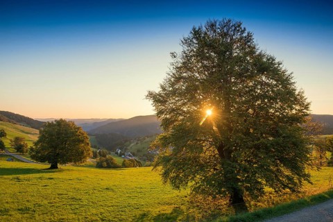 Sunrise, Hofsgrund, Oberried, Schauinsland, Black Forest, Baden-Württemberg, Germany, Europe