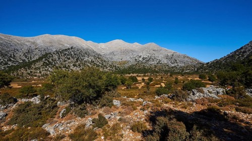 Niatos Plateau, Wide landscape with mountain range and sparse vegetation under blue sky, near Lefka