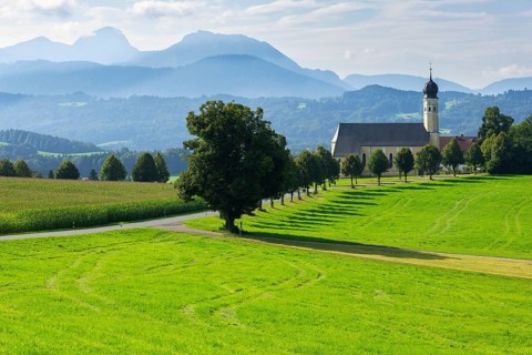 Pilgrimage church of St Marinus in Wilparting, cornfield, avenue, meadow, municipality of