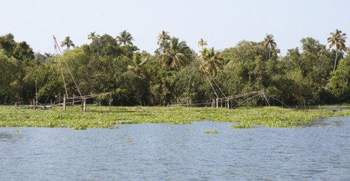 Palm trees and Chinese fishing nets on the shore of Lake Vembanad, canal system of the backwaters,