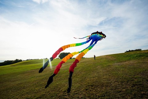 Large stunt kite, Hütten, Rickenbach, Hotzenwald, Southern Black Forest, Black Forest,