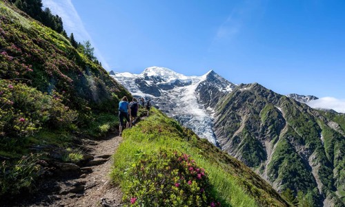 Hiker on hiking trail La Jonction, mountain landscape, view of glacier Glacier de Taconnaz,