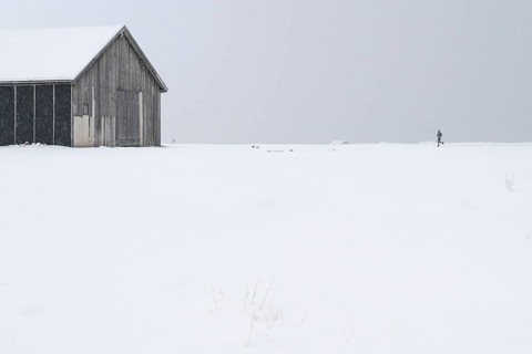 Wooden house, jogger, winter landscape, research settlement, Ny-Ålesund, Spitsbergen Island,