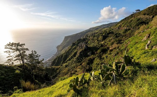 Evening mood, green coastal landscape on a steep cliff, sea and coast, viewpoint Miradouro da