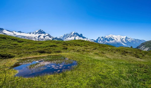 Mountain panorama with glaciated mountain peaks, Aiguille de Chardonnet with Glacier du Tour,