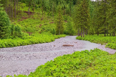 Enger-Grund creek, Eng valley, Tyrol, Austria, Europe