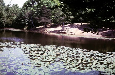Keston Ponds lake, Bromley, Kent, England, UK September 1959