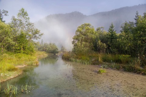 Isar valley nature conservancy area. The wild Isar river flows through its gravel bed past