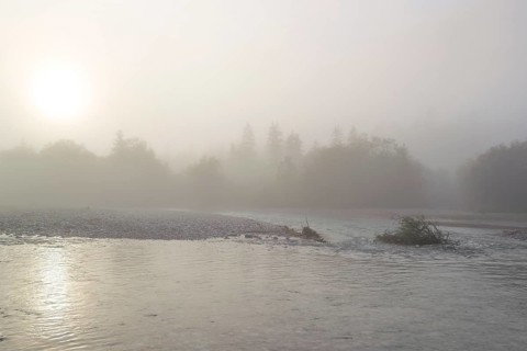 Isar valley nature conservancy area. The wild Isar river flows through its gravel bed past