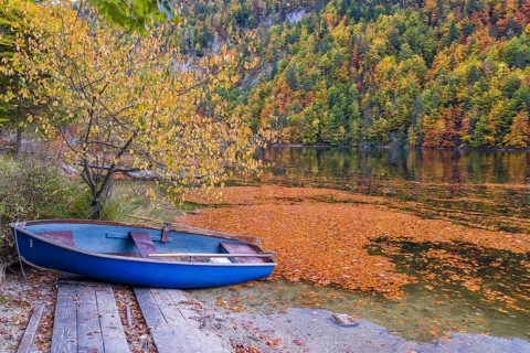 A rowing boat lies ashore of Lake Toplitz, forest in full autumn colors, Austria, Europe