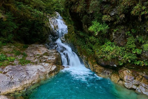 A waterfall flows into a turquoise-coloured pool surrounded by lush greenery, summer, Milford