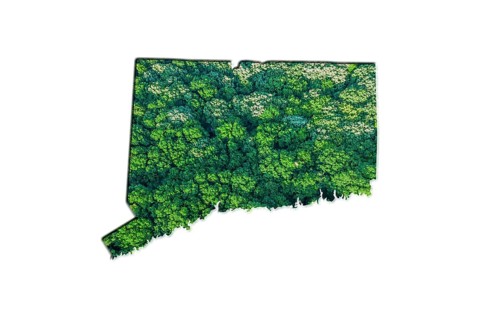 Green Forest Map of Connecticut, on white background