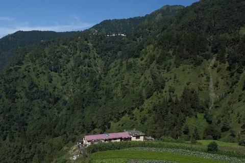 Nainital hills, uttarakhand, india, Asia