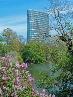 Düsseldorf, pond, office building GAP 15, Graf-Adolf-Platz