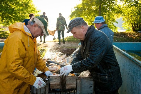 Fishing in Hermsdorf