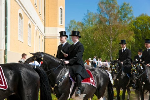 Every year at Easter there are about 5 processions in Lusatia, each with about 200 riders. The