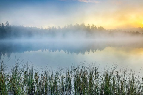 Atmospheric dawn with wafts of mist over the mirror-smooth moorland lake Étang de la Gruère in the