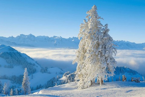 View from the Rigi, Glarus Alps, Switzerland, Europe
