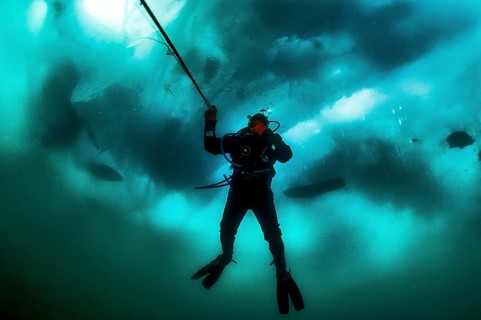 Scuba diver under ice, Lake Baikal, Olkhon Island, Pribaikalsky National Park, Irkutsk Province,
