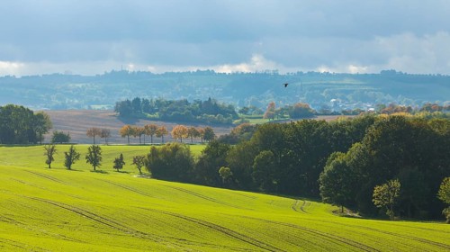 Autumnal field landscape near Possendorf in the Eastern Ore Mountains
