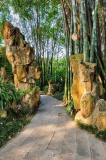 Path in bamboo forest brove in Wangjiang Pavilion (Wangjiang Tower) Wangjianglou Park. Chengdu,