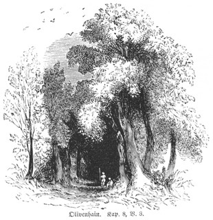 Olive grove, Palestine, Way, Trees, People, Bible, Old Testament, Book 5 of Moses, Chapter 8, Verse