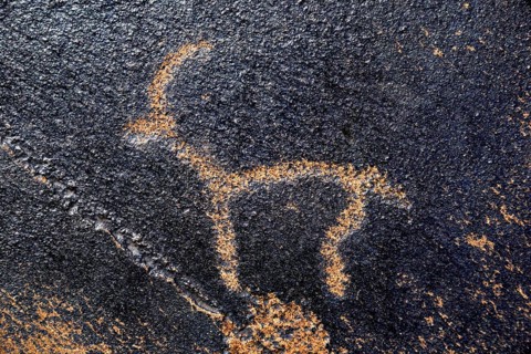 Petroglyph of a Siberian ibex (Capra sibirica), up to 2500 years old, West Karakol Valley, Tien